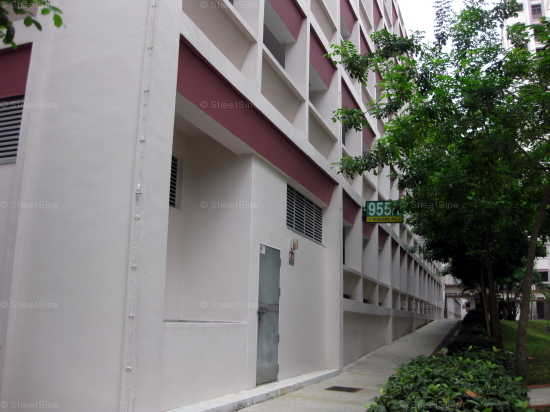 Blk 955A Hougang Avenue 9 (S)531955 #252912